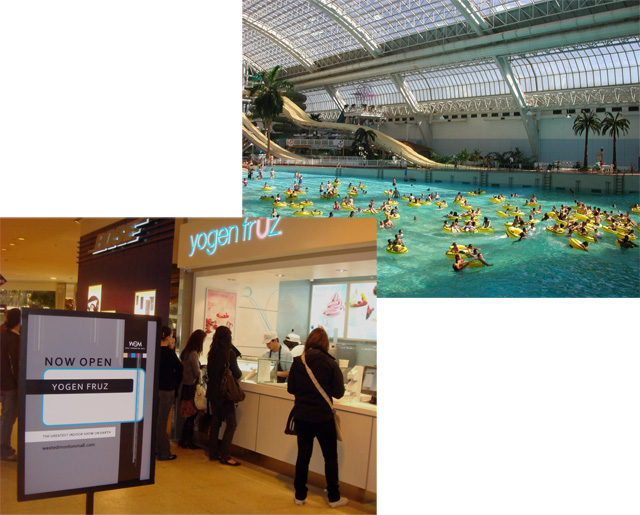 Yogen Fruz Frozen Yogurt West Edmonton Mall